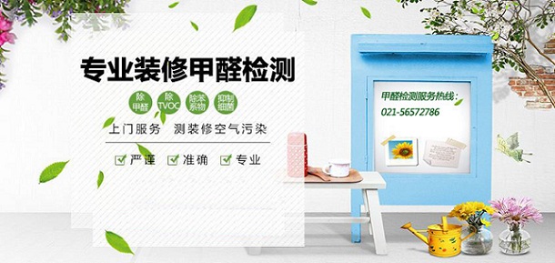 上海環(huán)境檢測咨詢服務(wù)有限公司