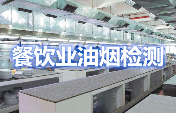 上海環(huán)境檢測咨詢服務(wù)有限公司 上海環(huán)境檢測咨詢服務(wù)有限公司