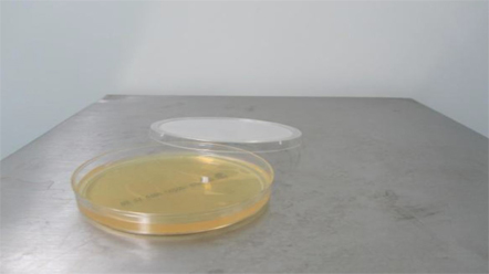 上海環(huán)境檢測(cè)咨詢(xún)服務(wù)有限公司