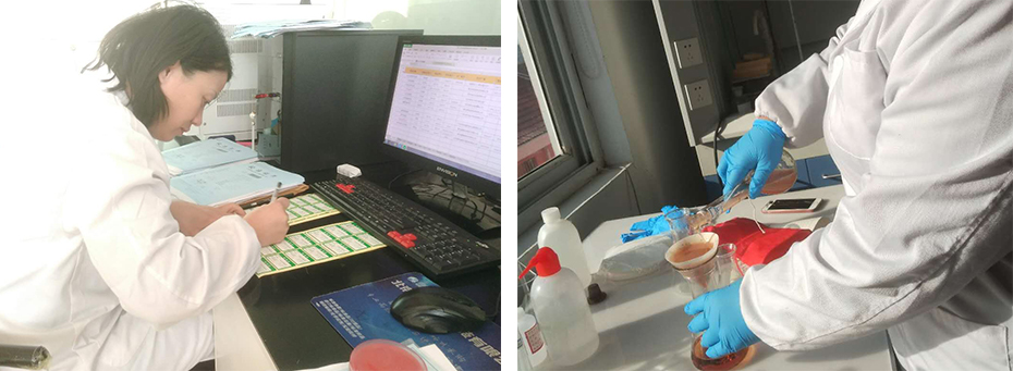 上海環(huán)境檢測咨詢服務(wù)有限公司