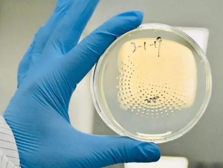 上海環(huán)境檢測(cè)咨詢服務(wù)有限公司 上海環(huán)境檢測(cè)咨詢服務(wù)有限公司