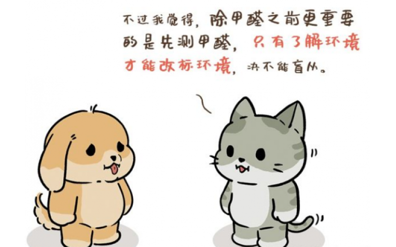 新房子明顯氣味，先除甲醛還是先測甲醛