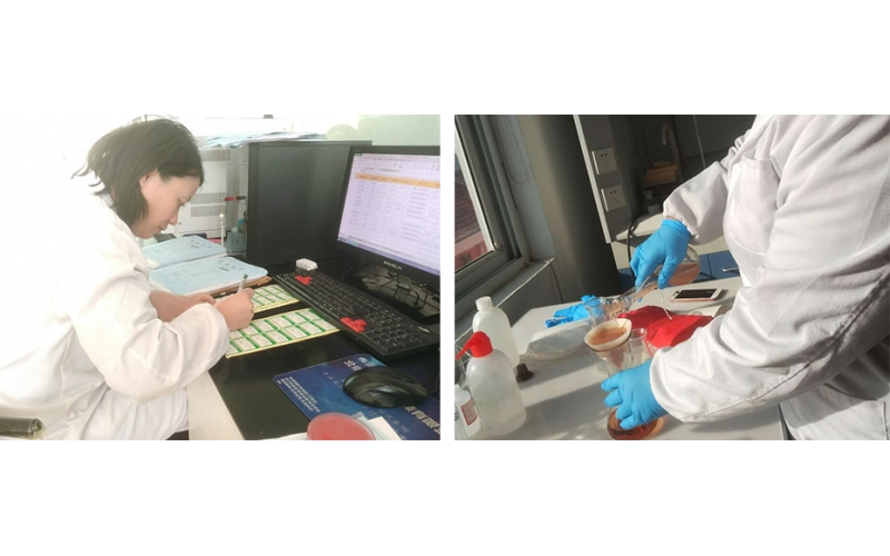 上海公共場所衛(wèi)生檢測服務(wù)機構(gòu)